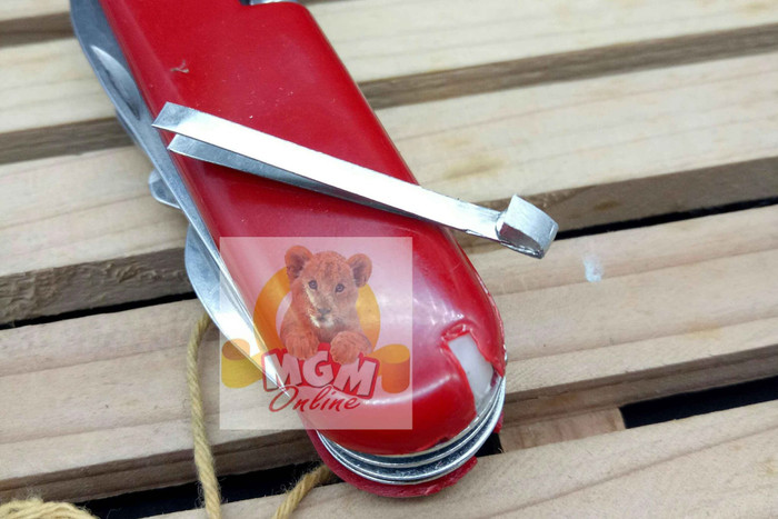 Pisau lipat 13 macam / 13pc Swiss Army knife Polos - Image 2