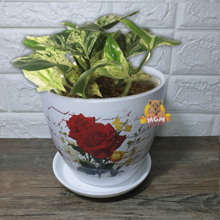 MOTIF Vas Bunga keramik Pot Bunga T16cm Lebar 17cm dgn ALAS piring M