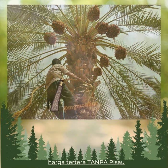 Sarung Golok Ghana Tramontina 26634/018 sarung pisau model PRO - Image 3