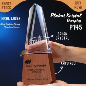 P145 Plakat kristal dengan kayu 27cm Trophy Crystal kaca Piala kejuaraan